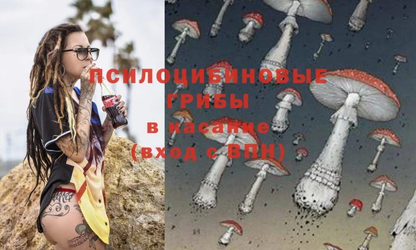 mix Белокуриха