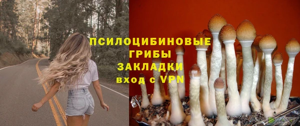 стаф Богородск