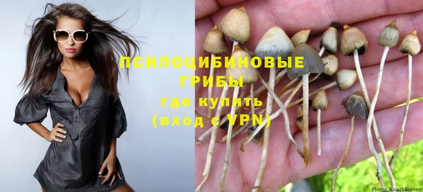 mix Белокуриха